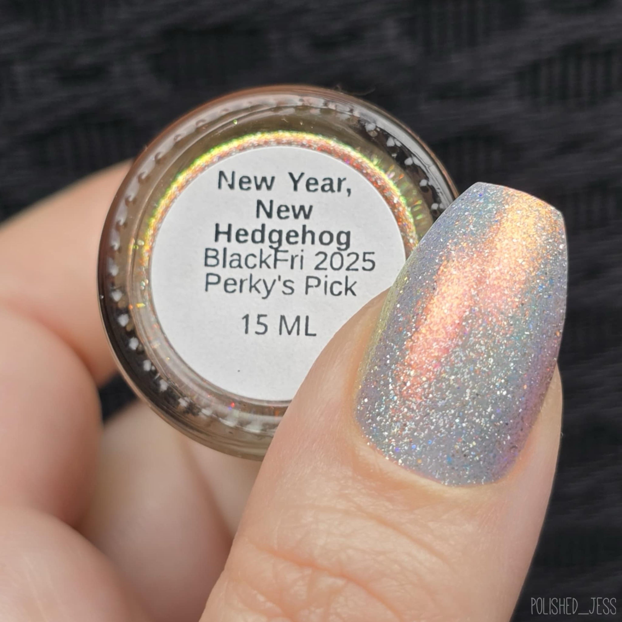 New Year, New Hedgehog (Black Friday 2025 Perky’s Pick)