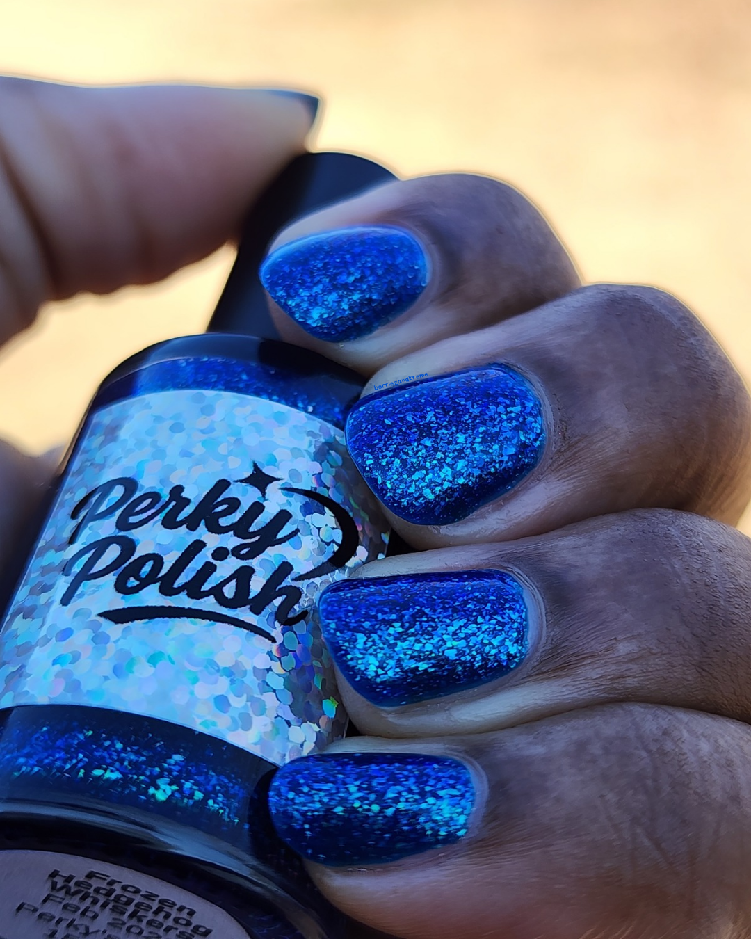 Frozen Hedgehog Whiskers (Feb 2026 Perky’s Pick)