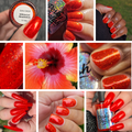 Hibiscus Heatwave (4/26 SOU overpour)