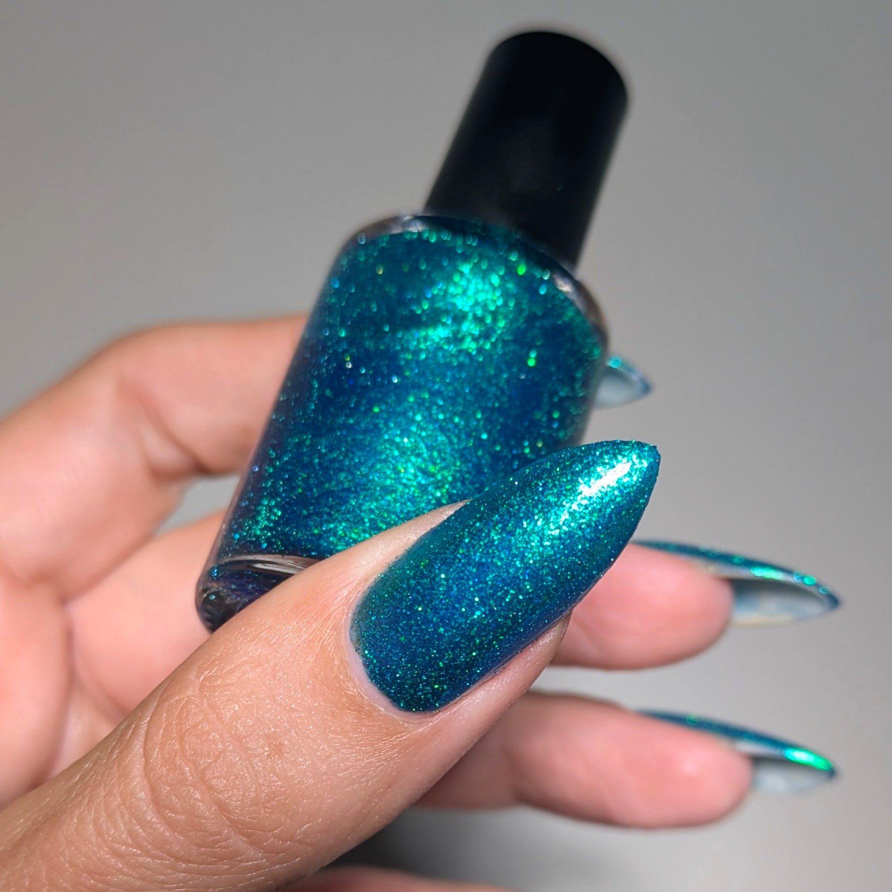 Perky at the Beach (March 2026 Perky's Pick)