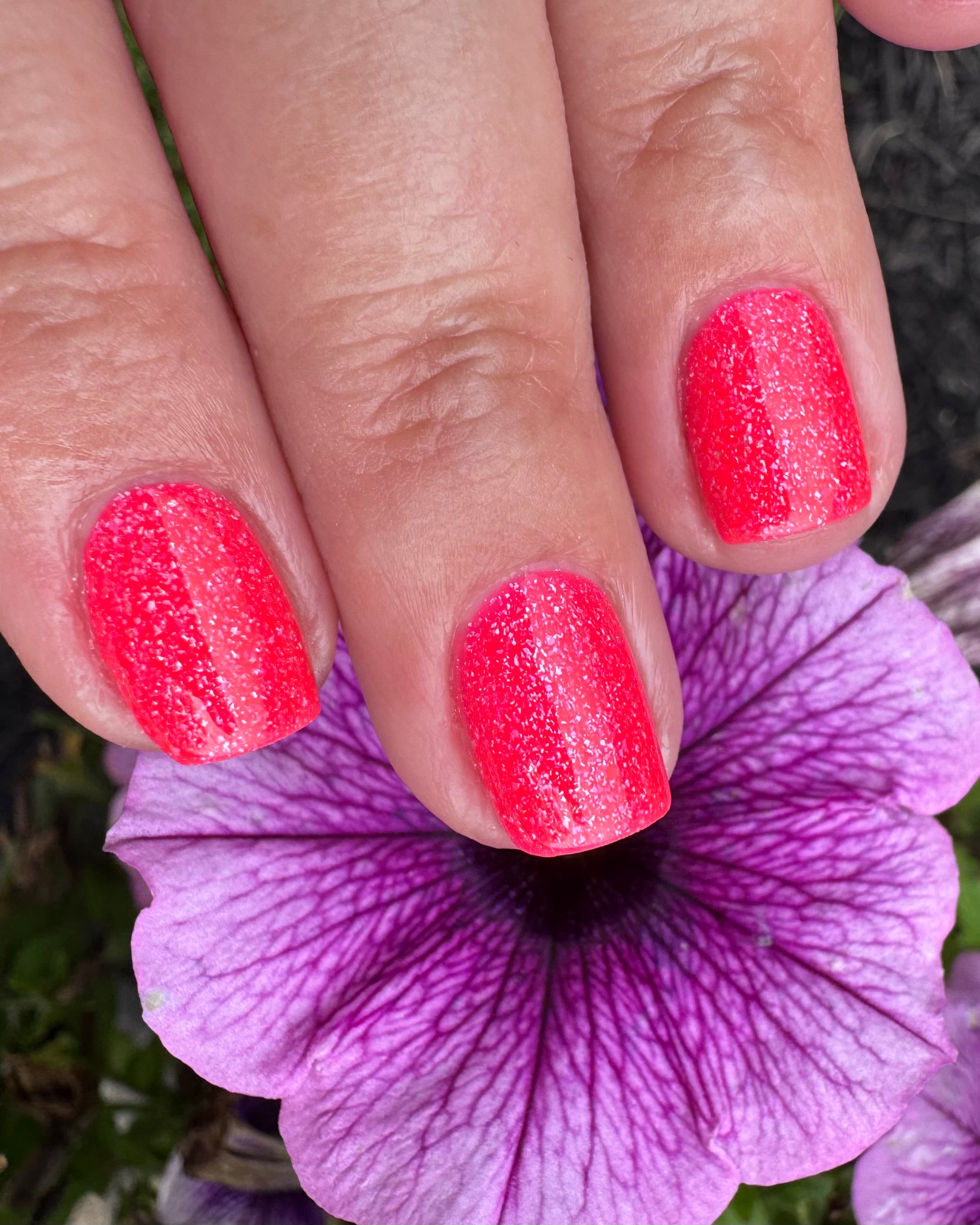 Hot Hedgehog Summer (July 2026 Perky's Pick)