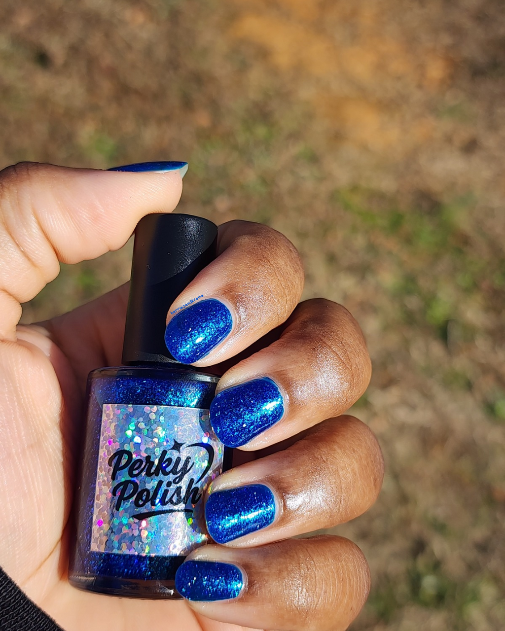 Frozen Hedgehog Whiskers (Feb 2026 Perky’s Pick)