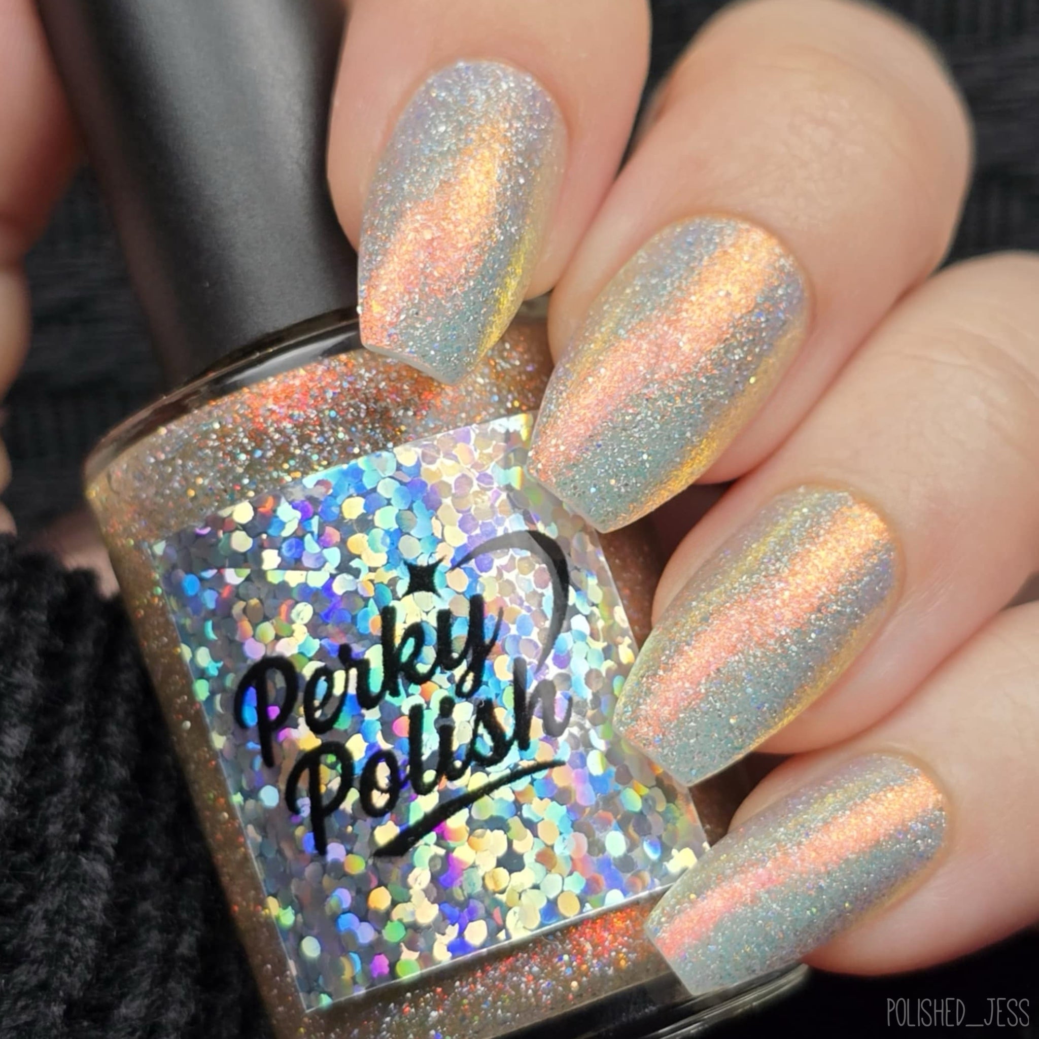 New Year, New Hedgehog (Black Friday 2025 Perky’s Pick)