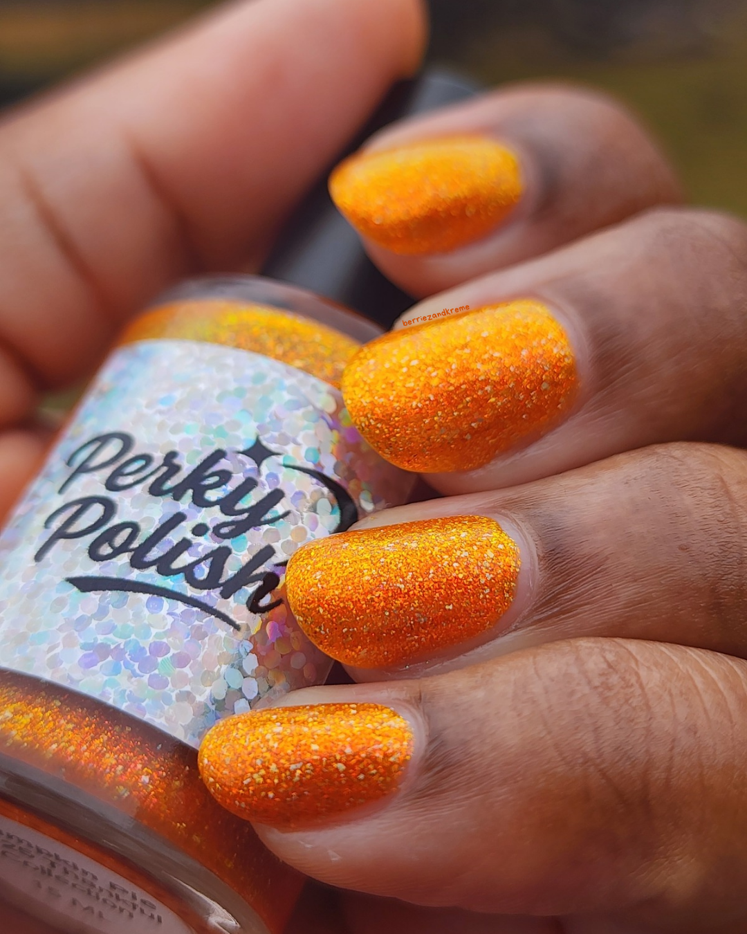 Pumpkin Pie (2025 Thankful Collection)