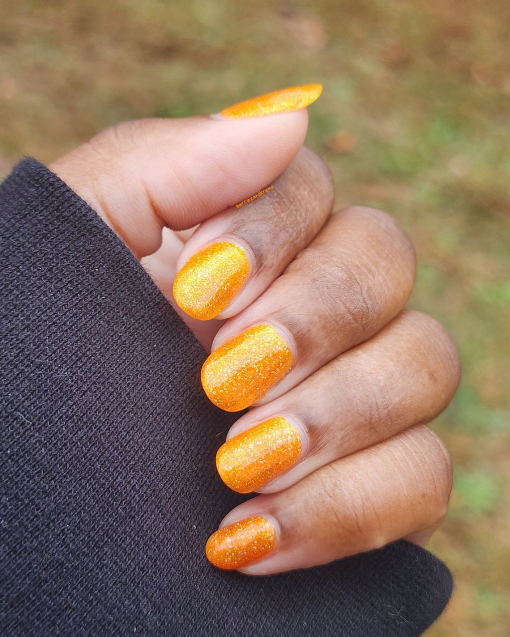 Pumpkin Pie (2025 Thankful Collection)