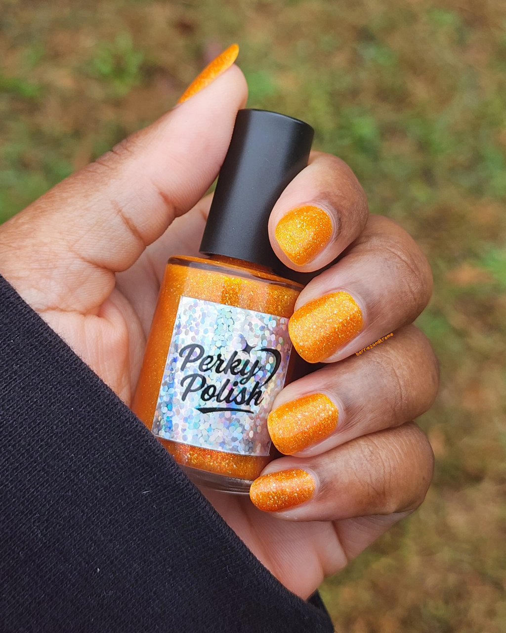 Pumpkin Pie (2025 Thankful Collection)