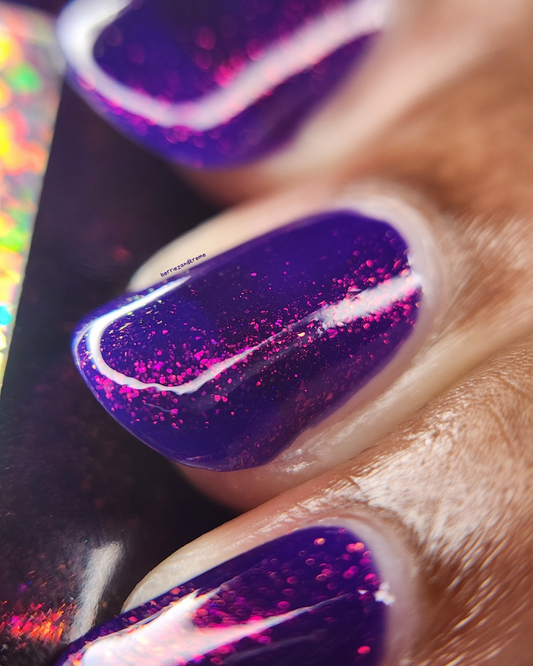 Quills (Nov 2025 Perky's Pick)