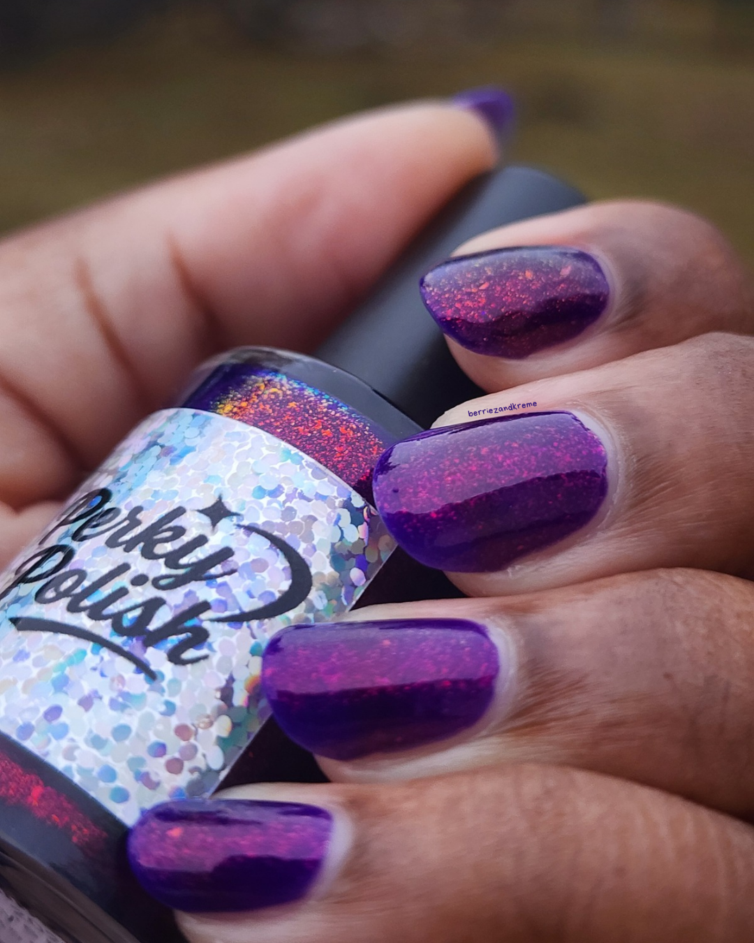 Quills (Nov 2025 Perky's Pick)