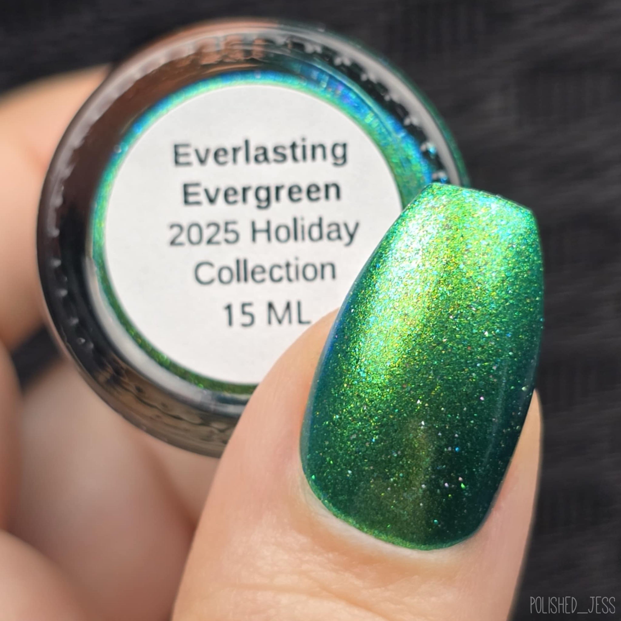 Everlasting Evergreen (2025 Holiday Collection)