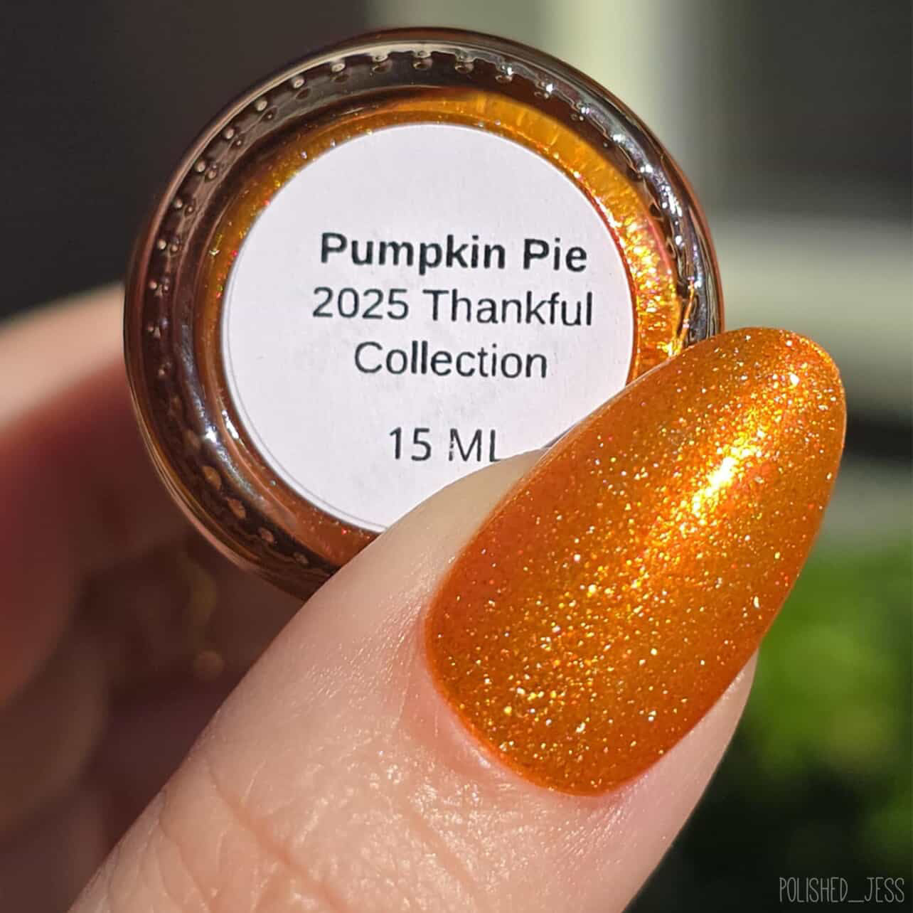 Pumpkin Pie (2025 Thankful Collection)