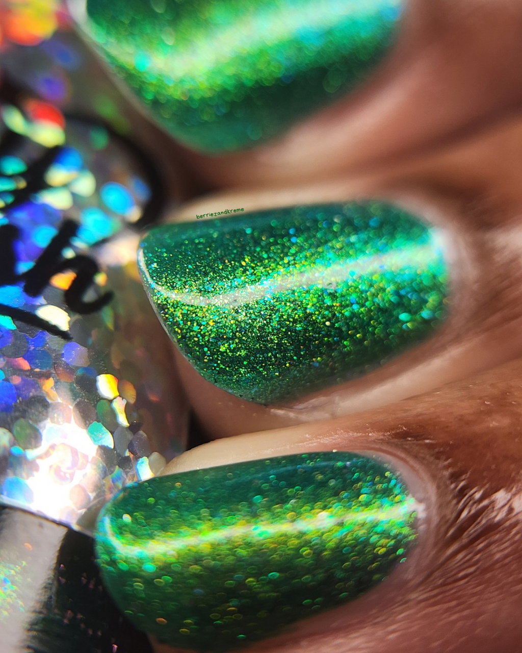 Everlasting Evergreen (2025 Holiday Collection)