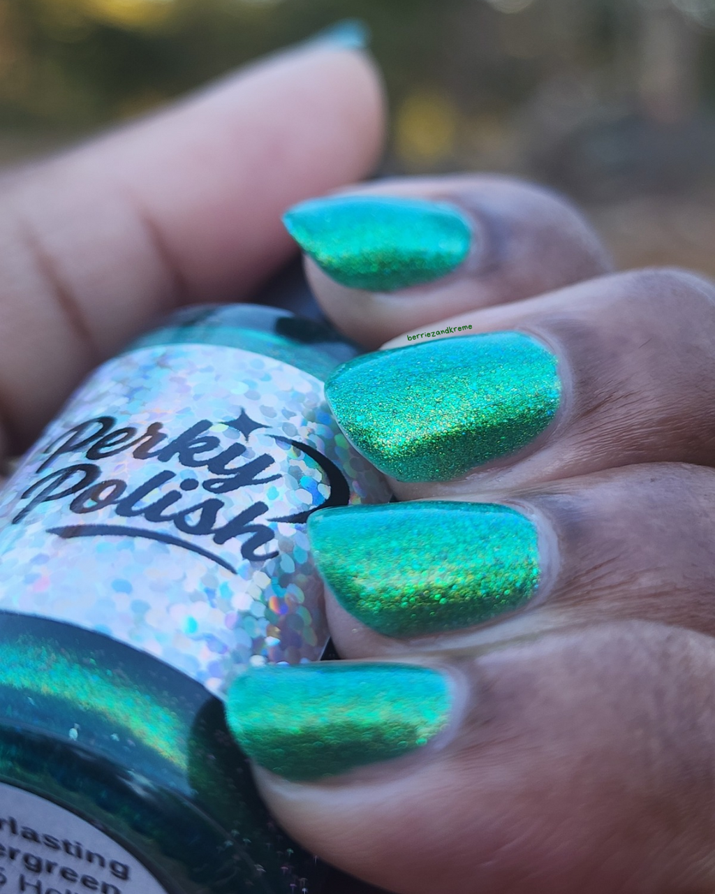 Everlasting Evergreen (2025 Holiday Collection)