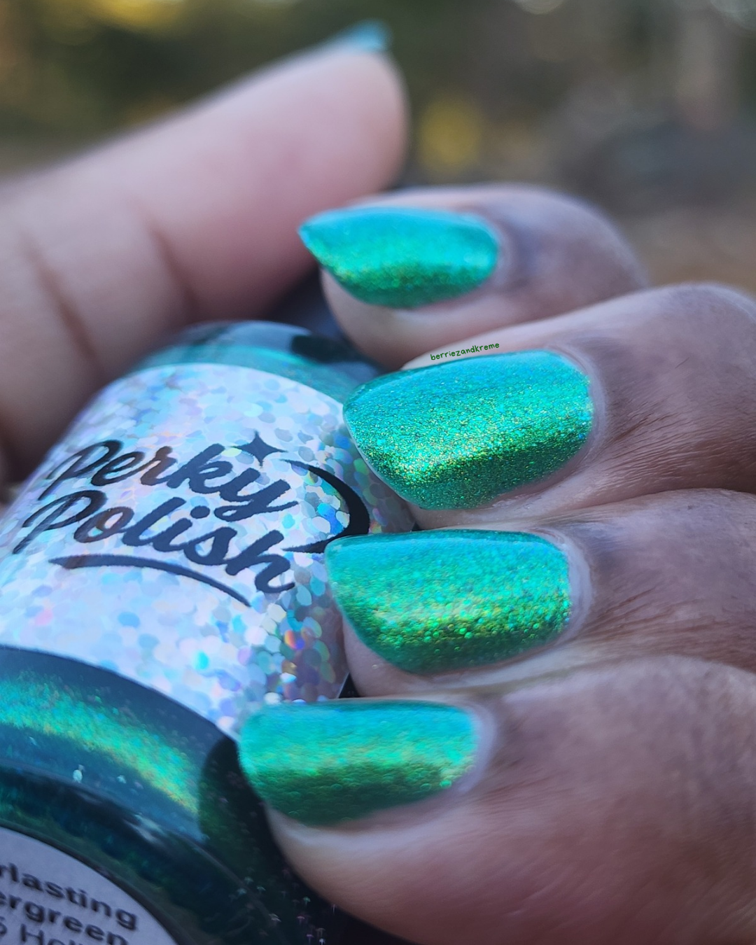 Everlasting Evergreen (2025 Holiday Collection)