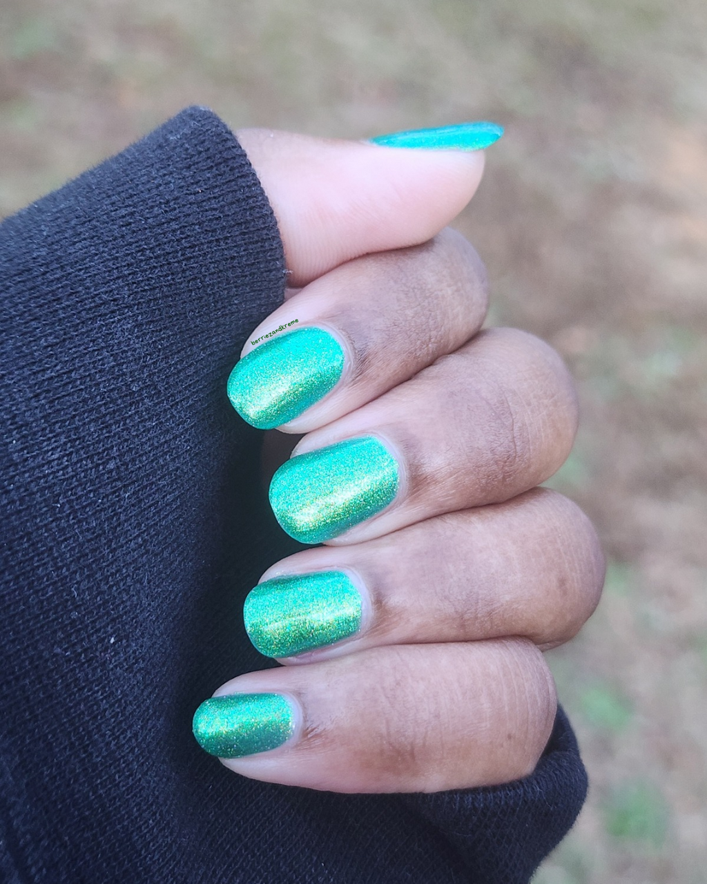 Everlasting Evergreen (2025 Holiday Collection)
