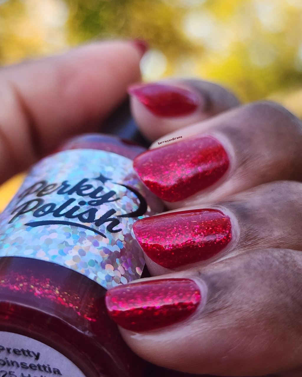 Pretty Poinsettia (2025 Holiday Collection)