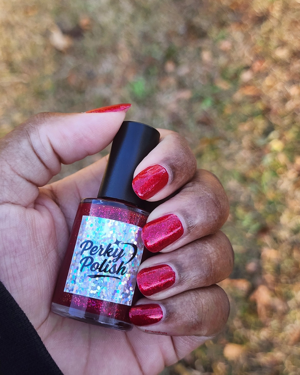 Pretty Poinsettia (2025 Holiday Collection)