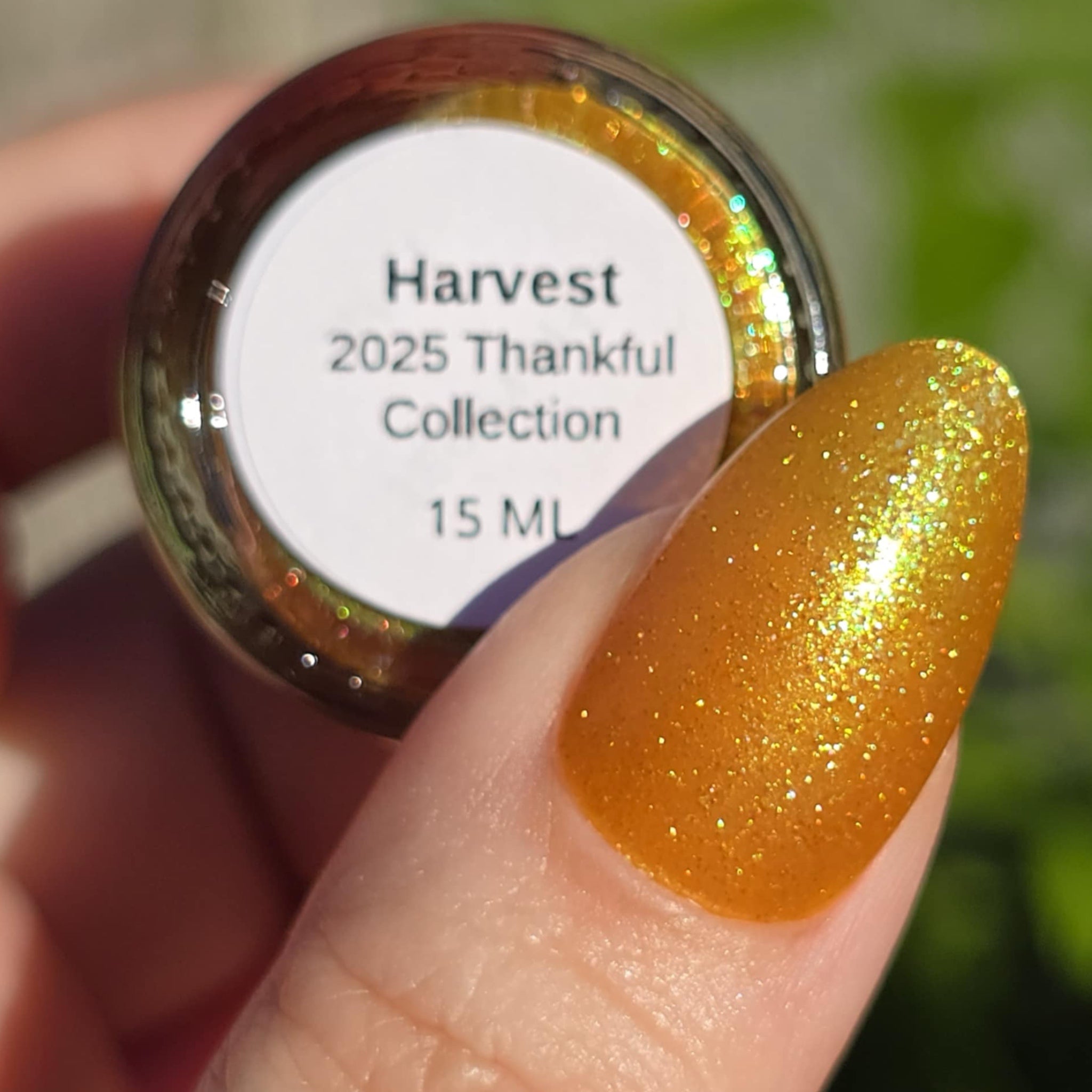 Harvest (2025 Thankful Collection)