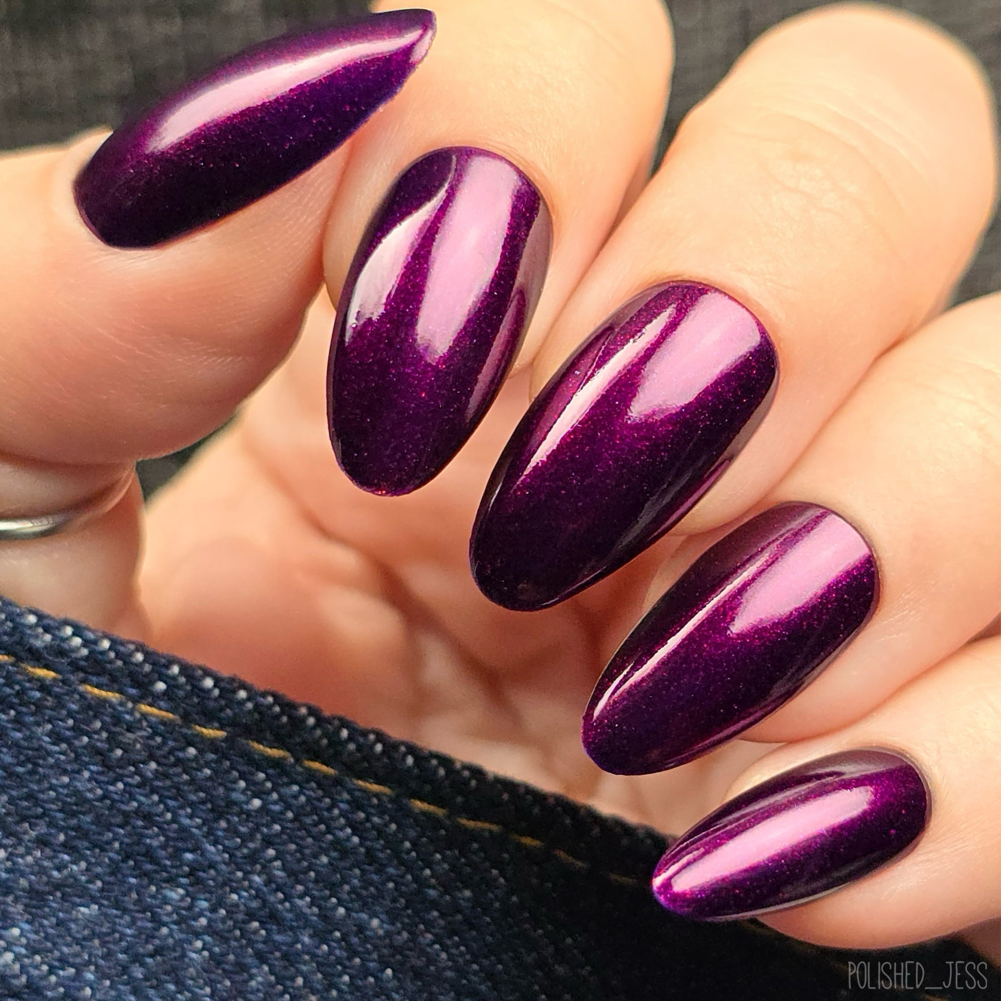 Hibernating Hedgehog (Jan 2026 Perky's Pick)