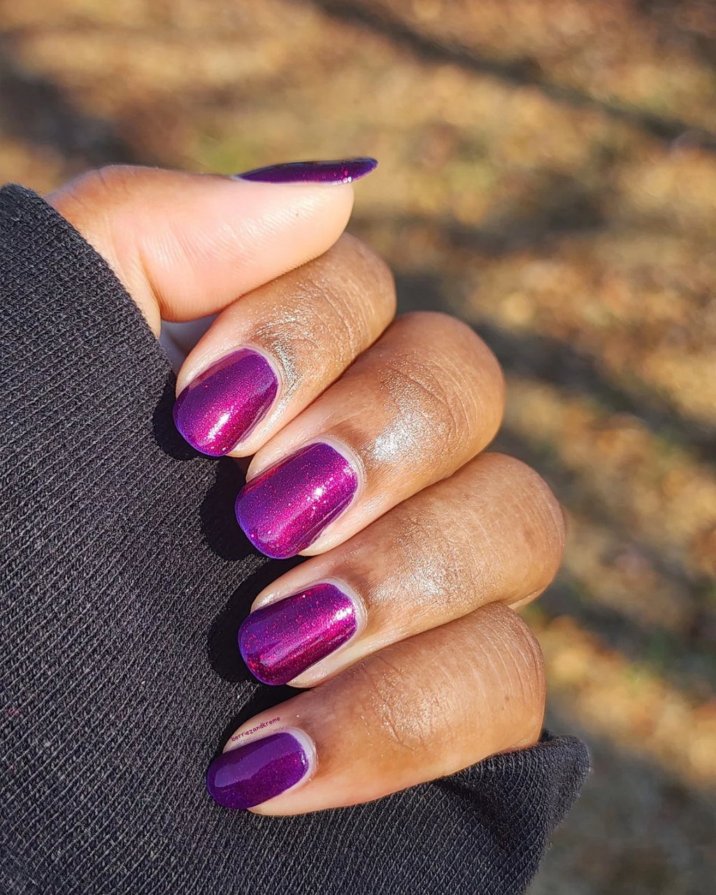 Hibernating Hedgehog (Jan 2026 Perky's Pick)