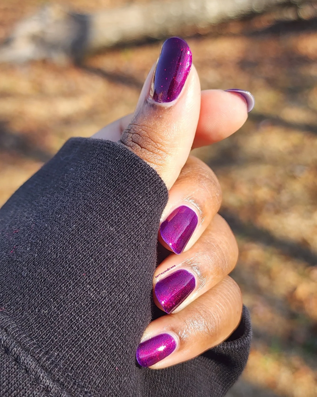 Hibernating Hedgehog (Jan 2026 Perky's Pick)