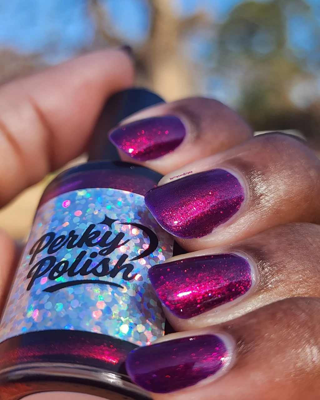 Hibernating Hedgehog (Jan 2026 Perky's Pick)