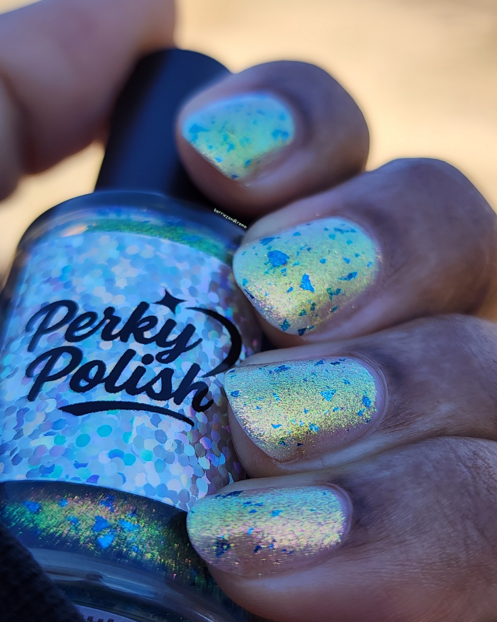 Vault Dweller (2026 - inspired by Fallout)