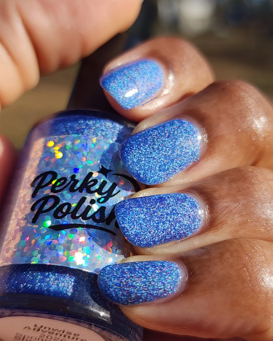Unwise Adventure (2026 Spring Break Shenanigans)