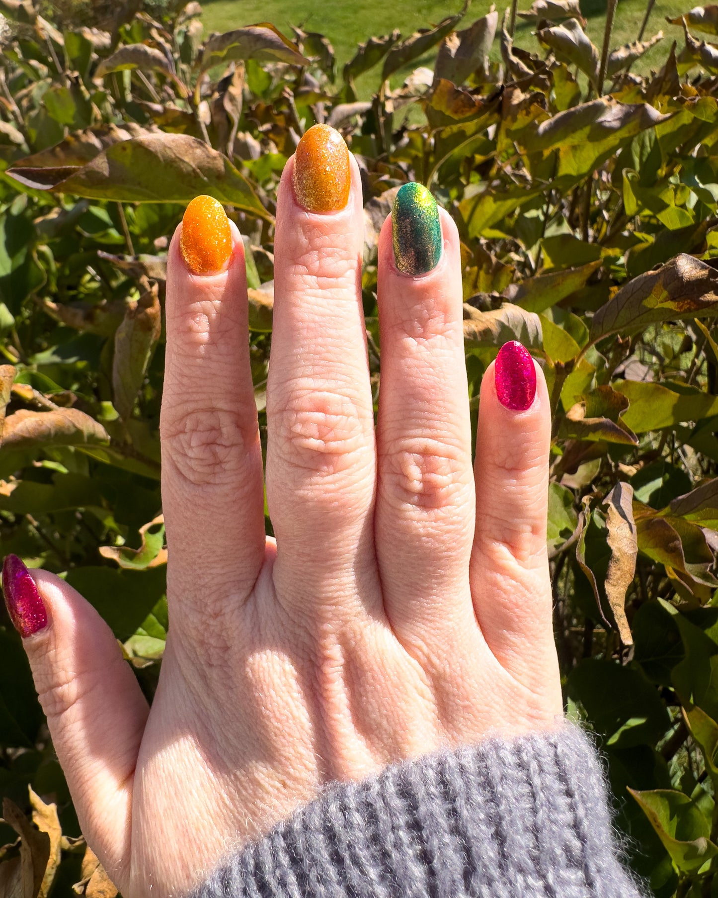 Pumpkin Pie (2025 Thankful Collection)