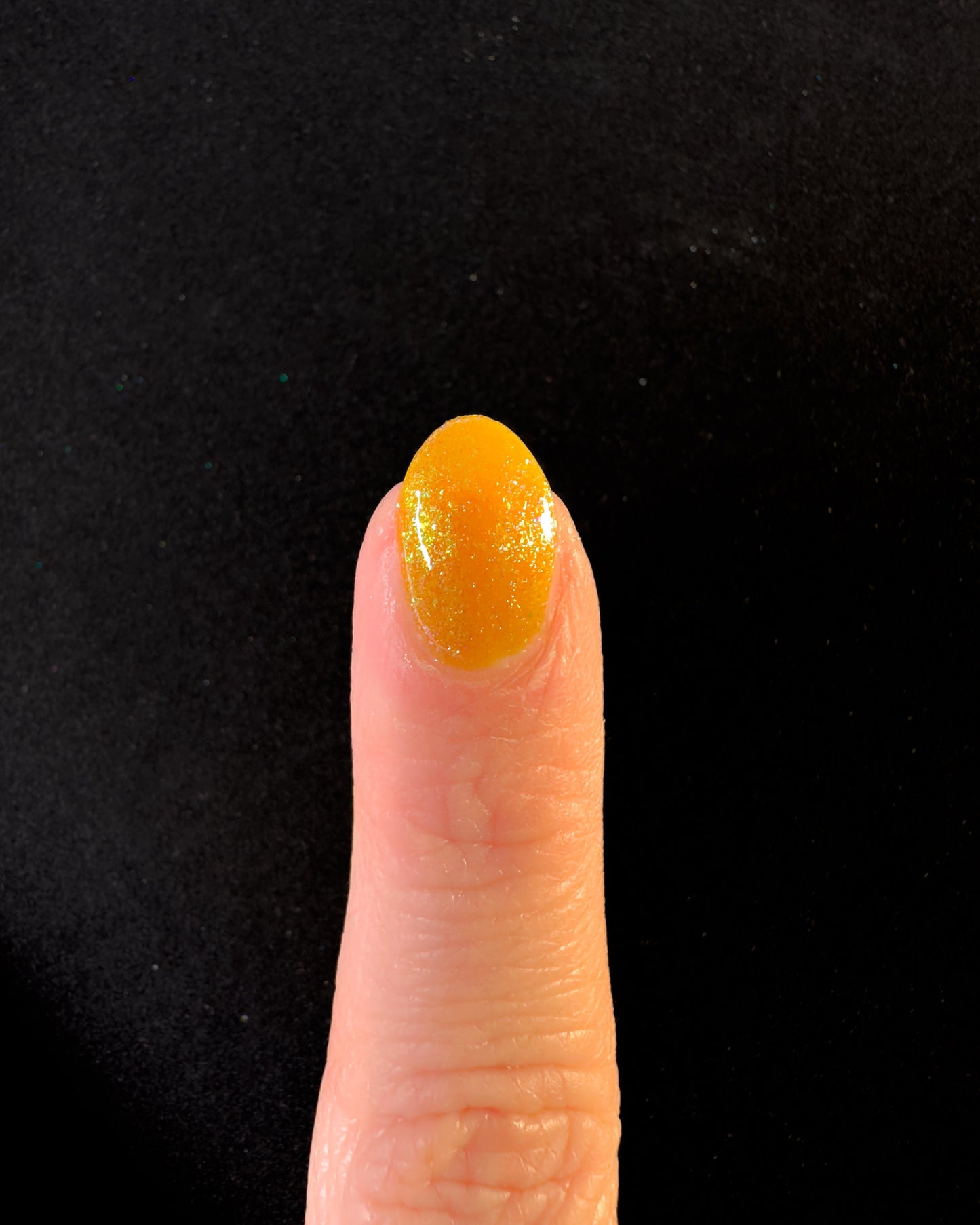 Harvest (2025 Thankful Collection)