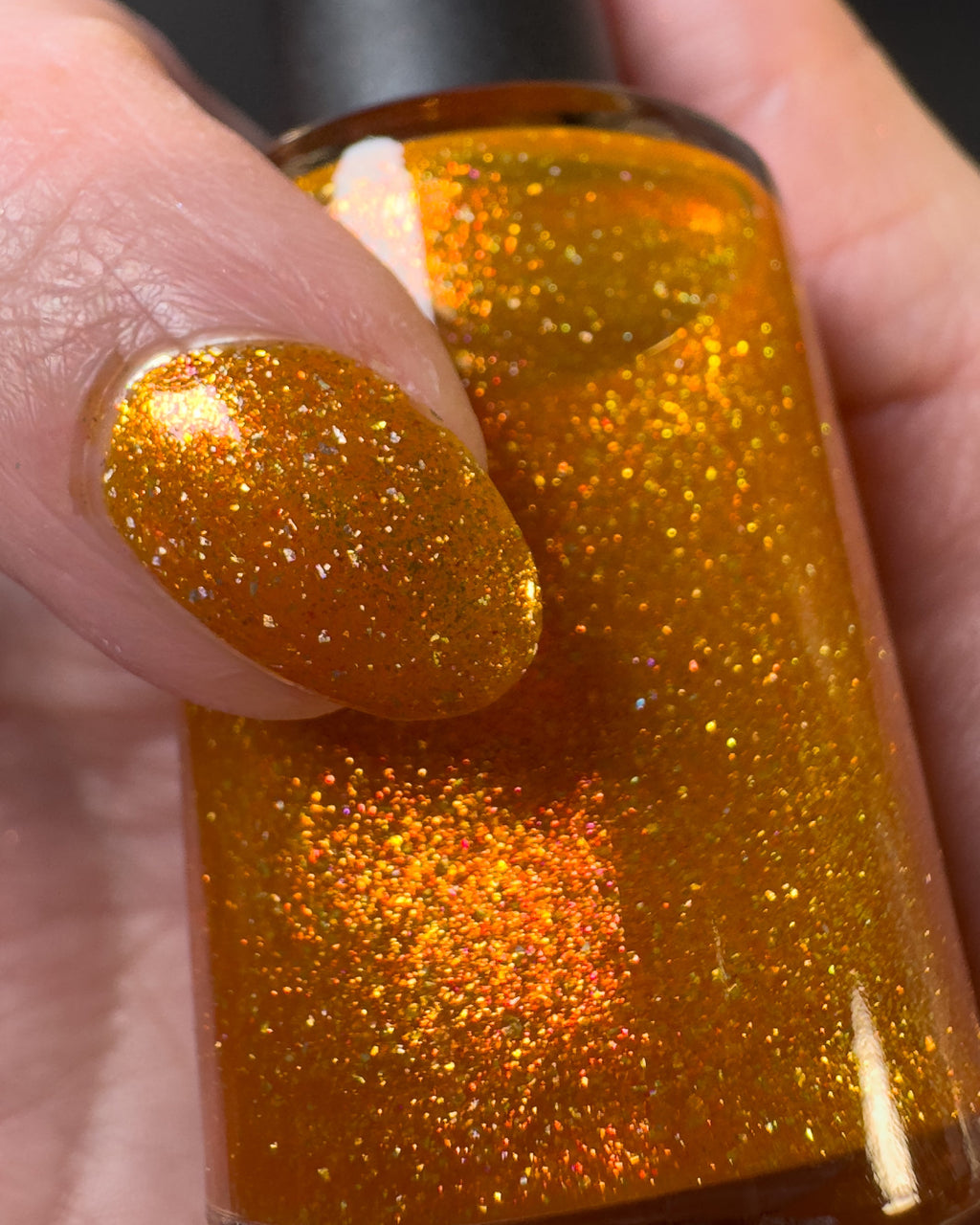 Pumpkin Pie (2025 Thankful Collection)