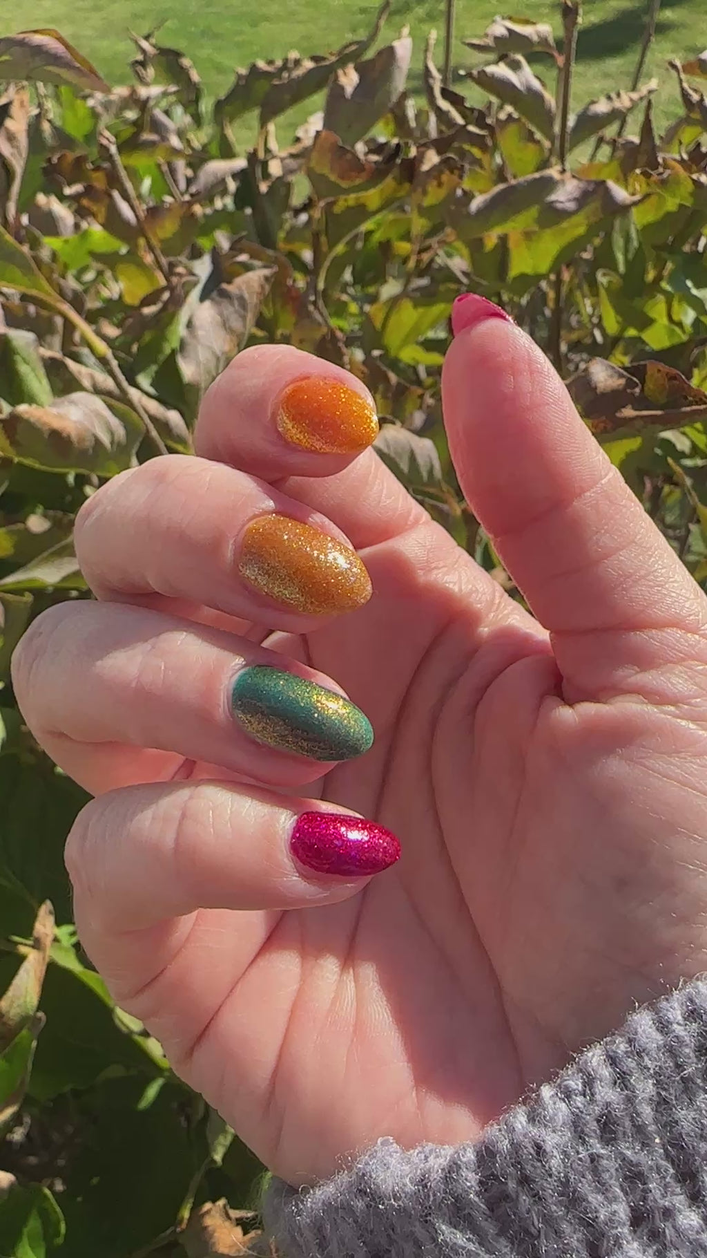 Pumpkin Pie (2025 Thankful Collection)