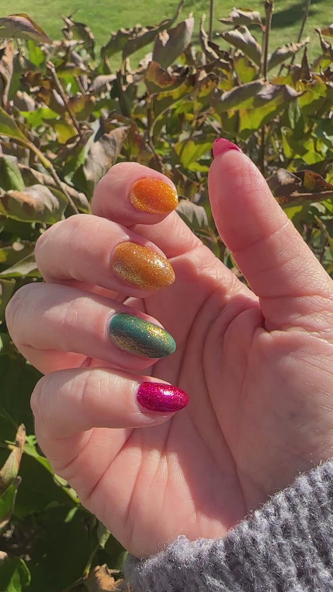 Pumpkin Pie (2025 Thankful Collection)